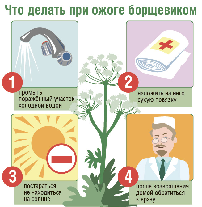listovka_deti_i_okna.jpg