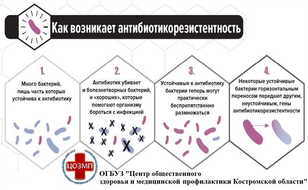 резистентность.jpg