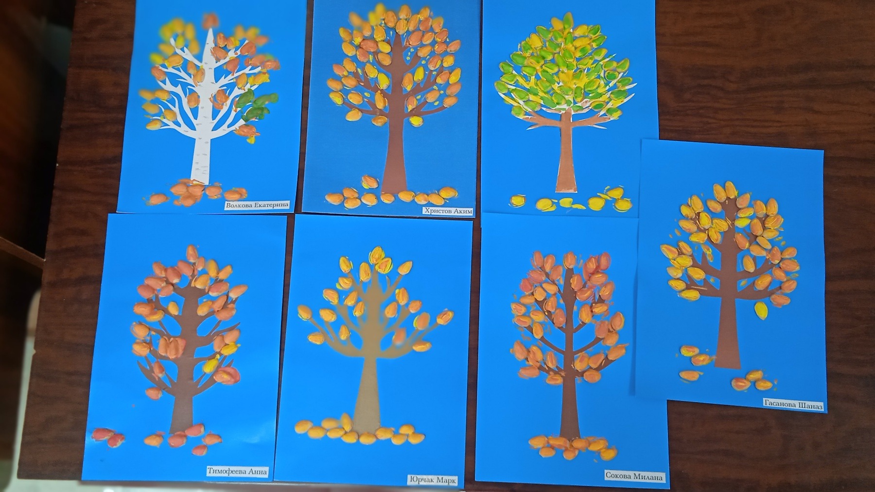IMG-a7b2c6b32d69913be9c9fd79d65329e3-V.jpg