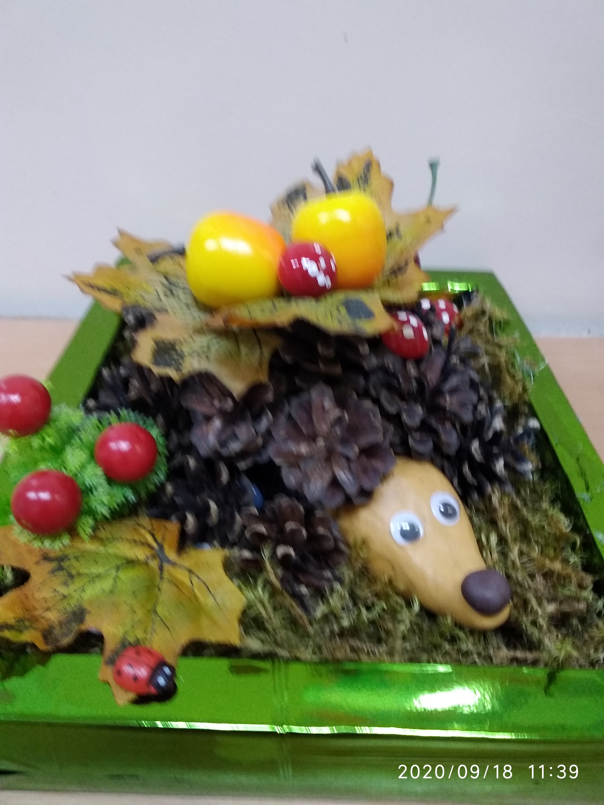 IMG_20200918_113905.jpg