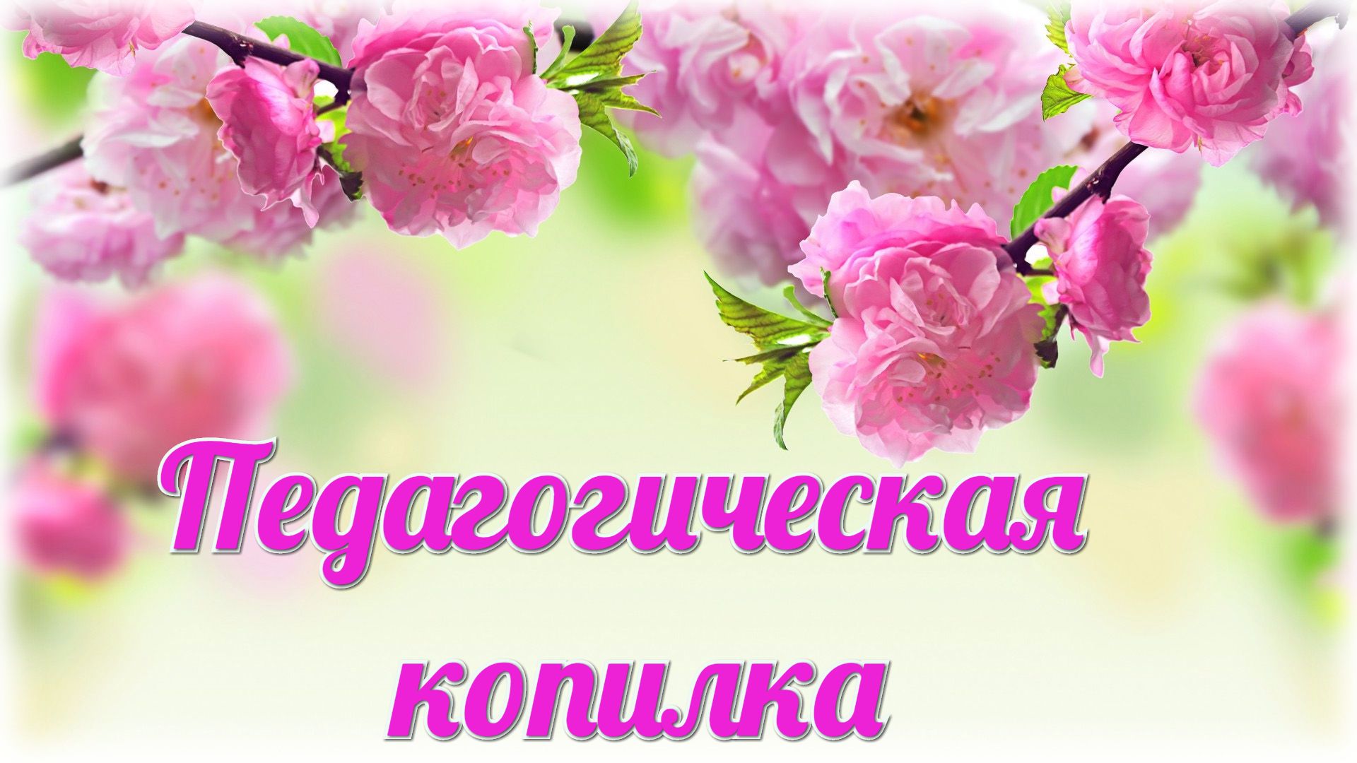 укц34к3.jpeg