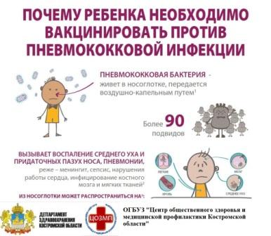 пневмококк.jpg