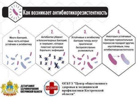 резистентность.jpg