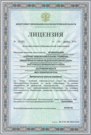 лицензия.jpg