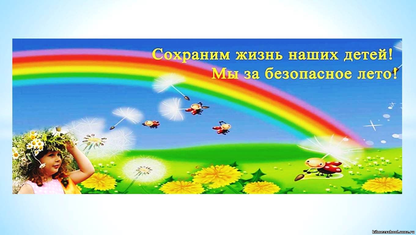 11485828.jpg