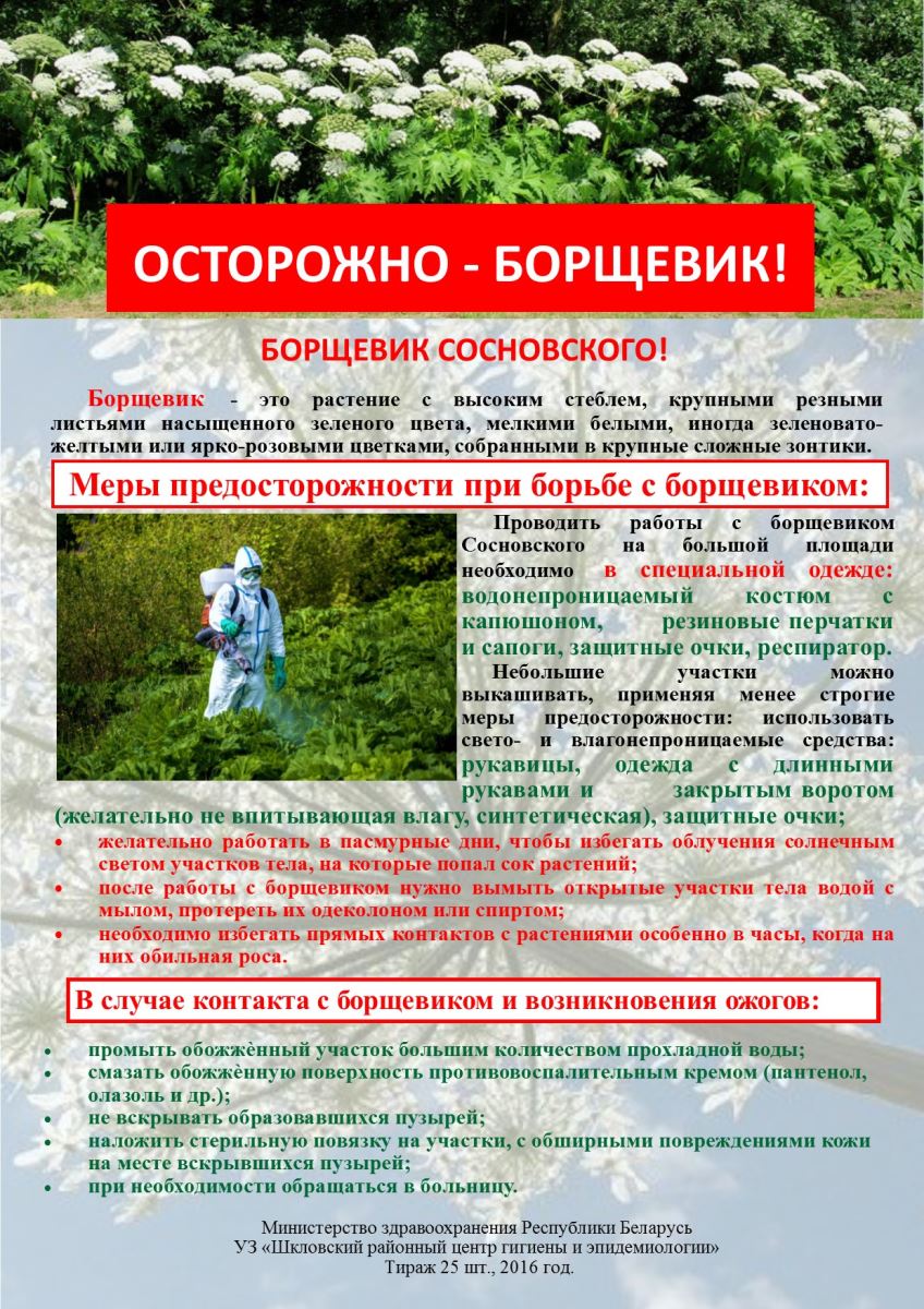 Борщевик памятка.jpg