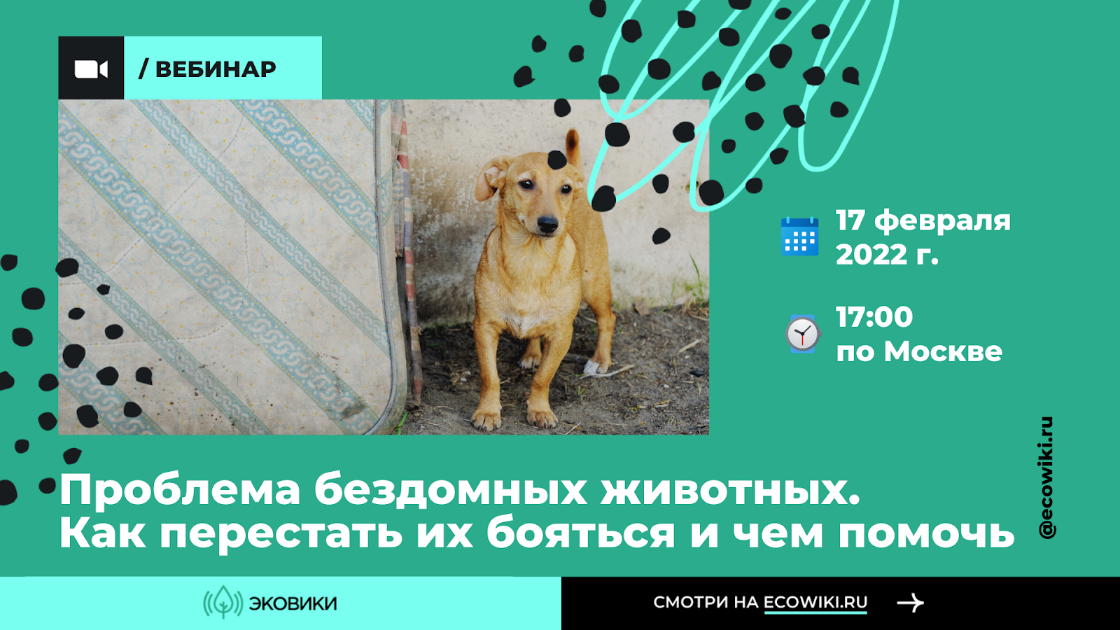 Без названия.png