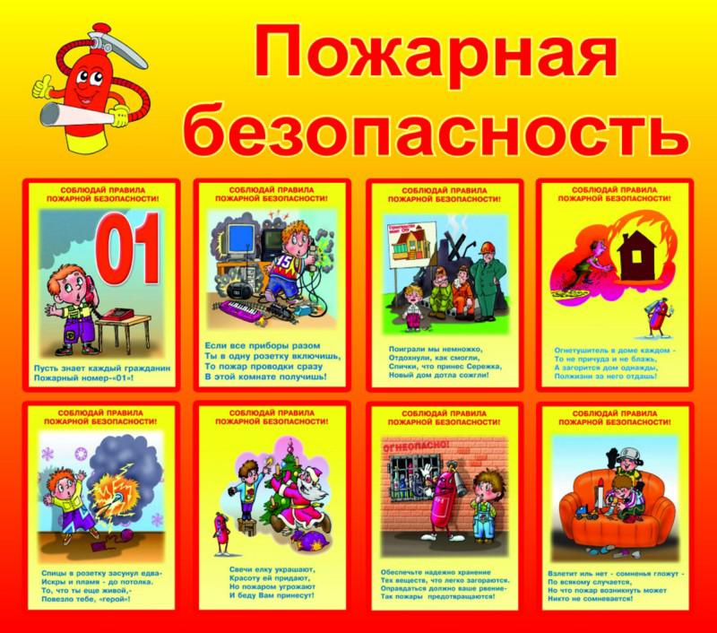 p66_1-1.jpg
