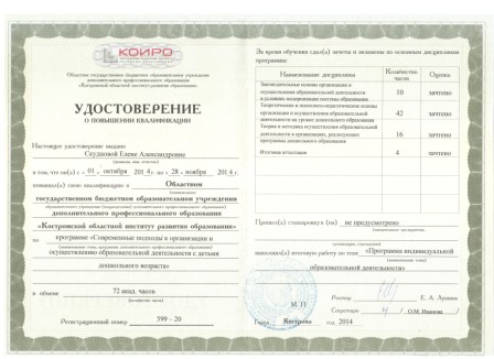 серт2).jpg