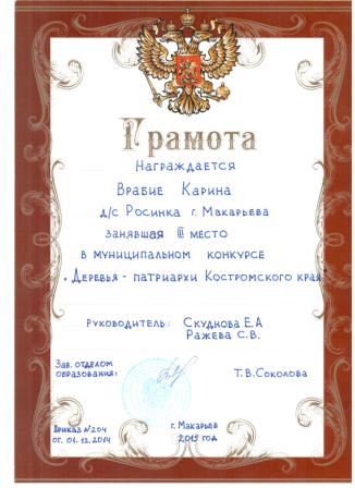дипл.jpg