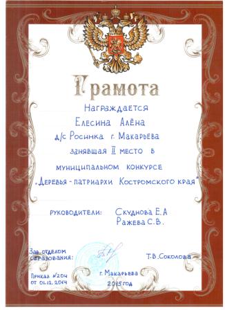 диплом 1.jpg