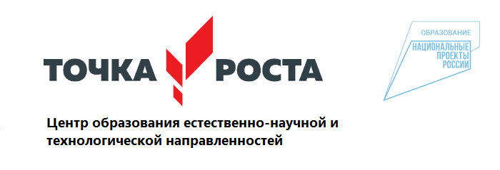 Точка роста.png