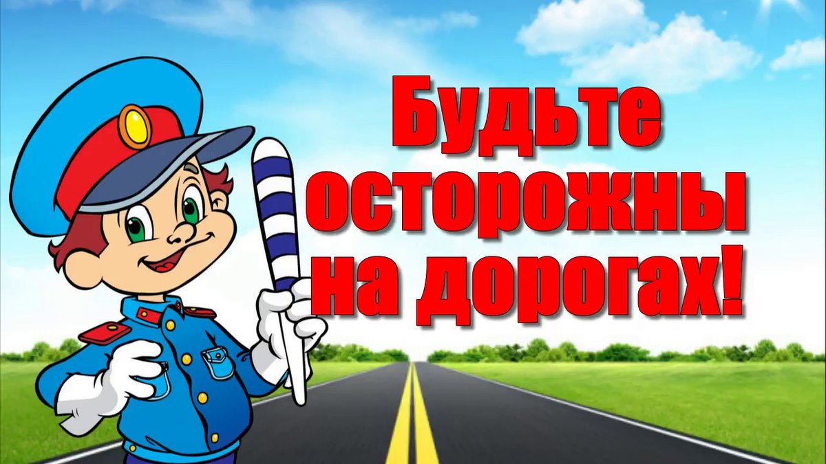 ДДТТ.jpg