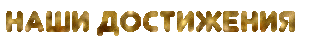 gif1.gif