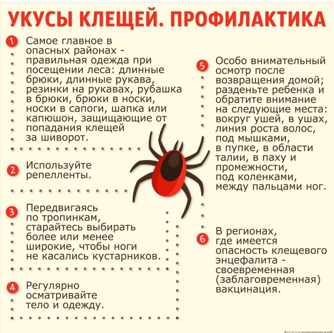 01cba502486d88c50f471d21e528b77b.jpg