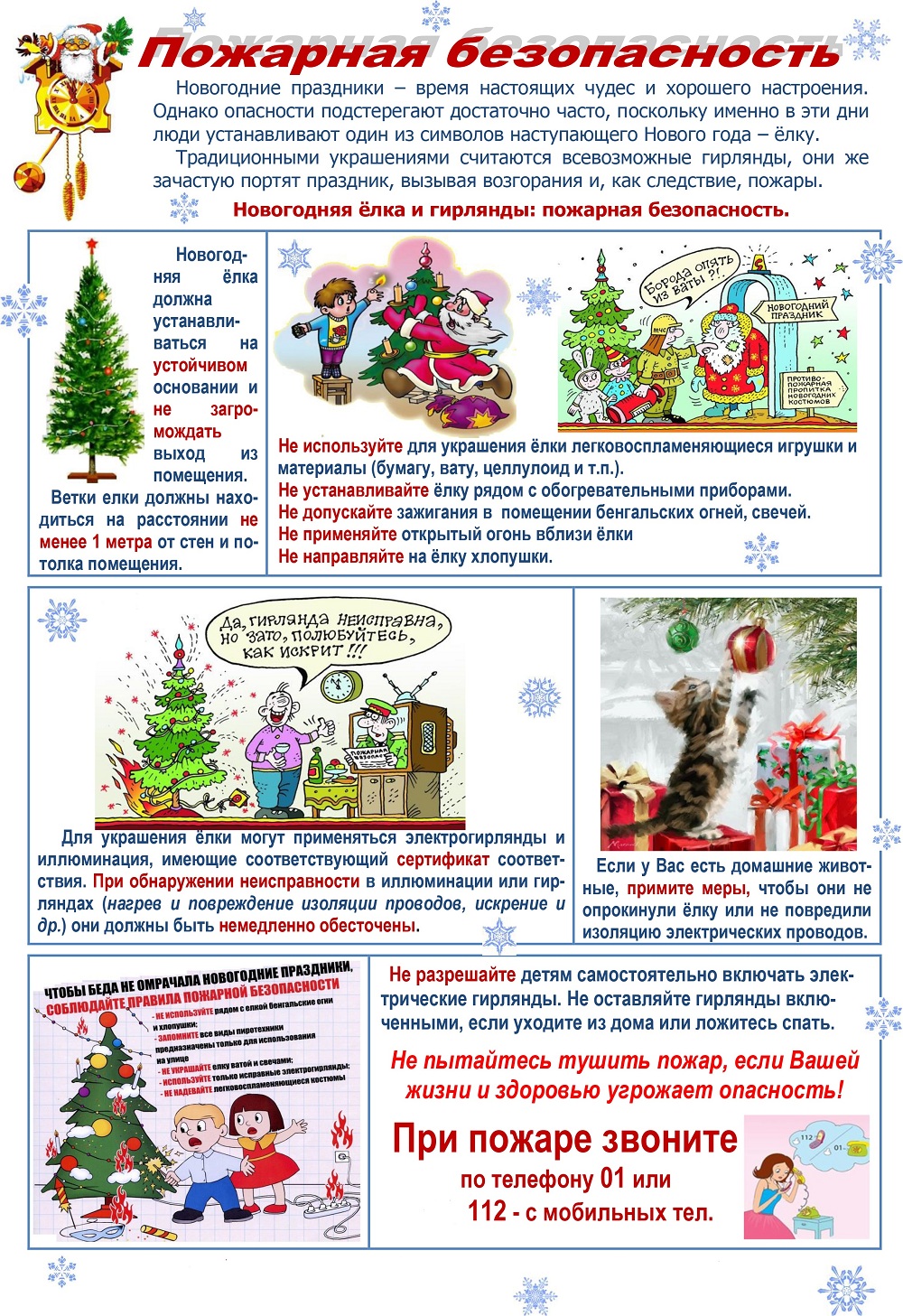elka1-noyabr-2018.jpg