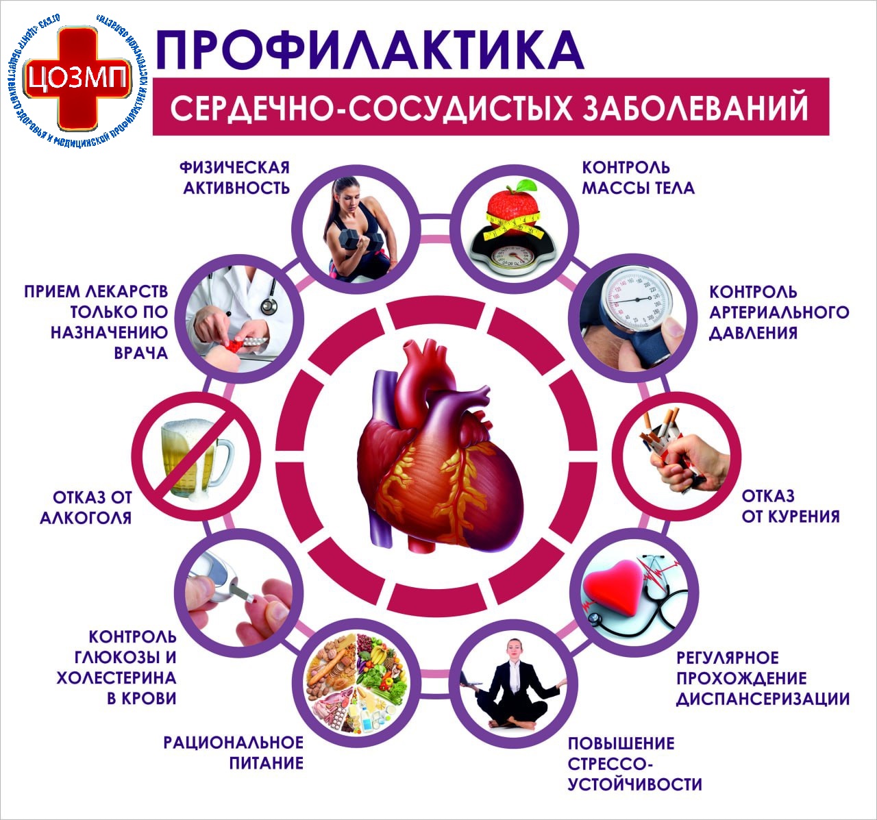 Проф-ка ССЗ.jpg