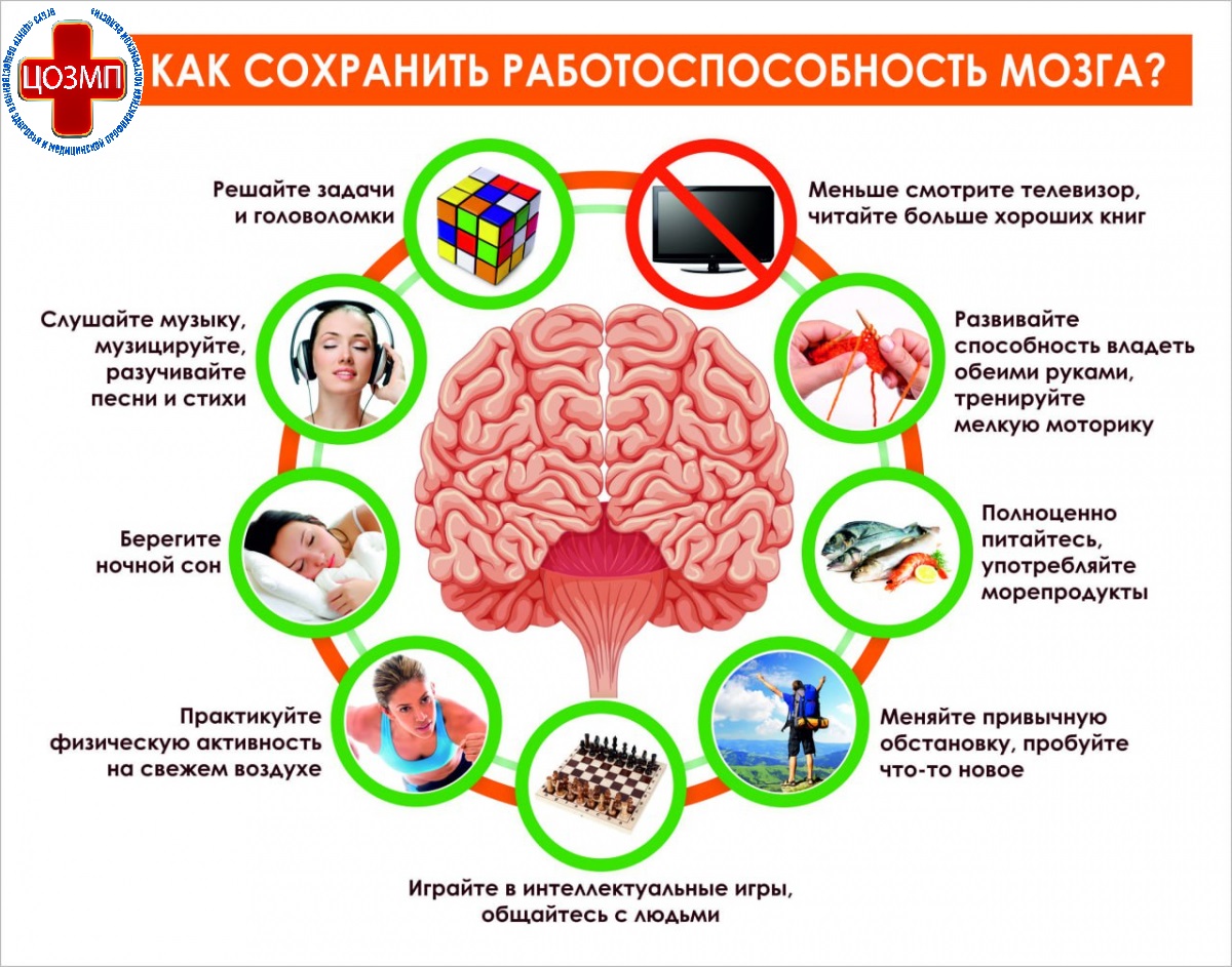 как сохранить работоспособносмть мозга.jpeg