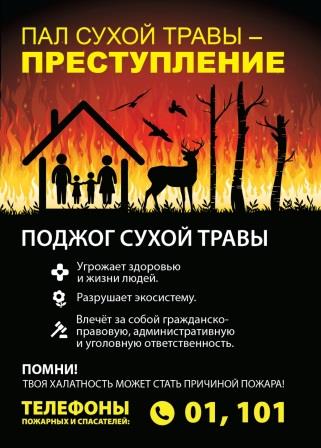 210420212ПАЛ.jpg