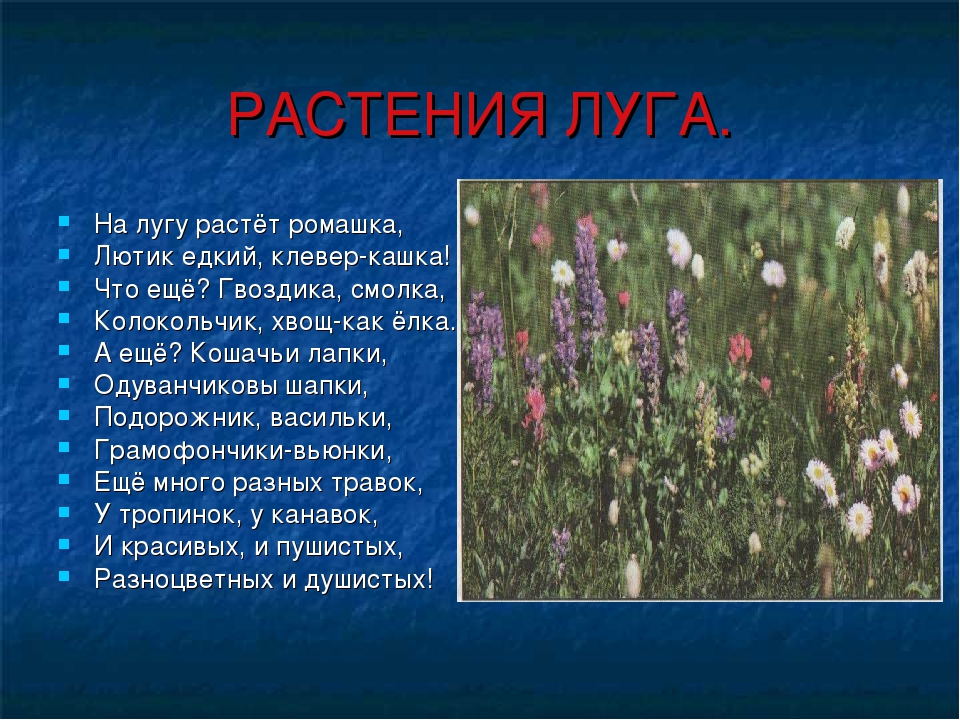 фыв3.jpg