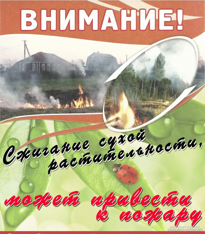 vesna2.jpg