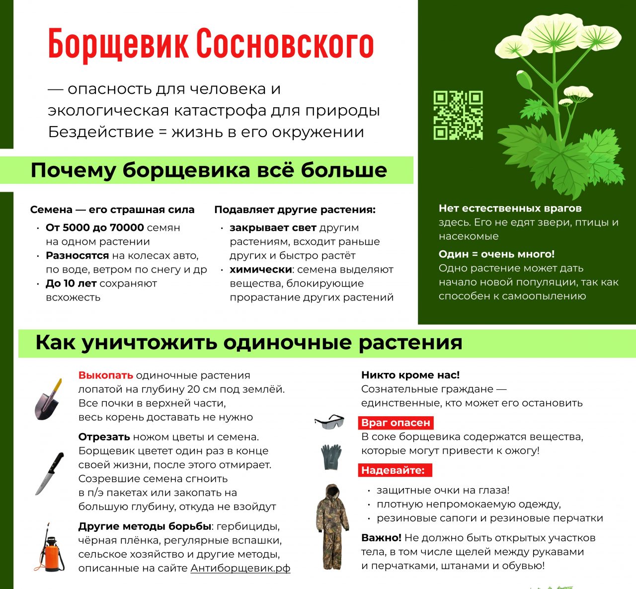 Borshhevik-pamyatka.jpg