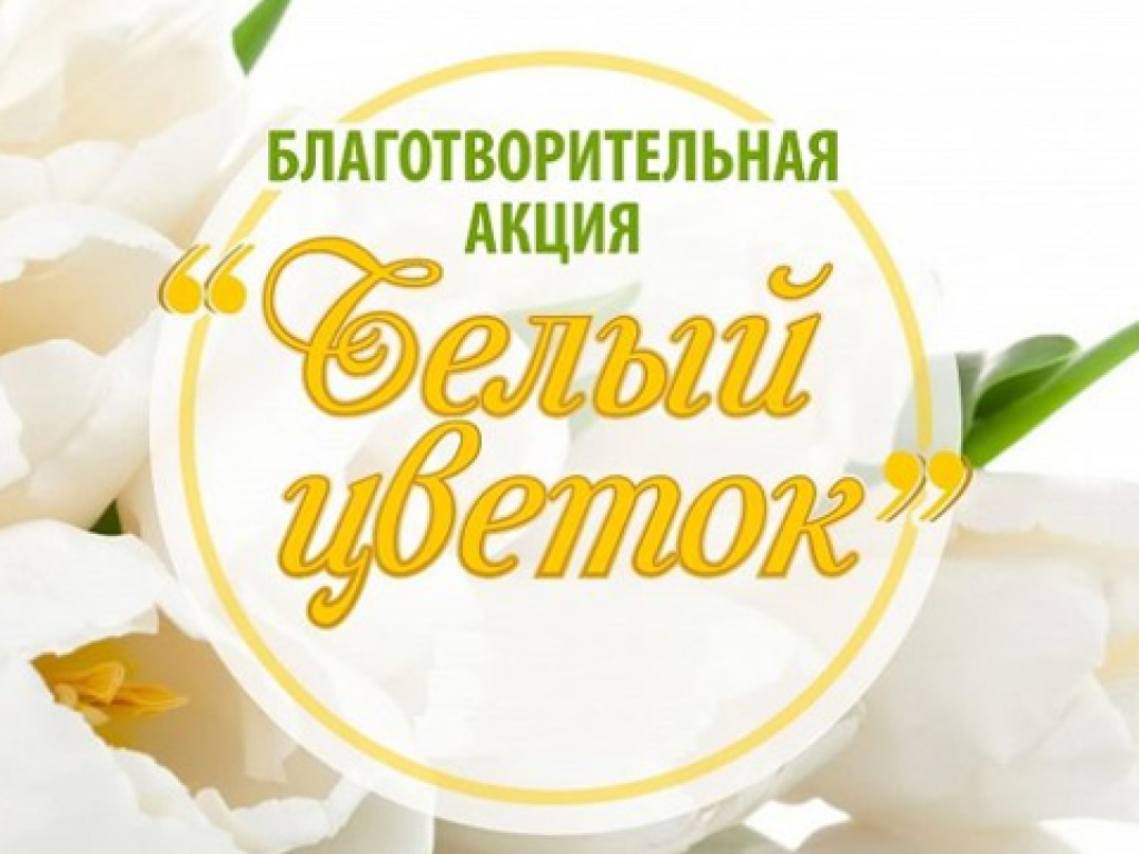 beliy_cvetok11092019.jpg