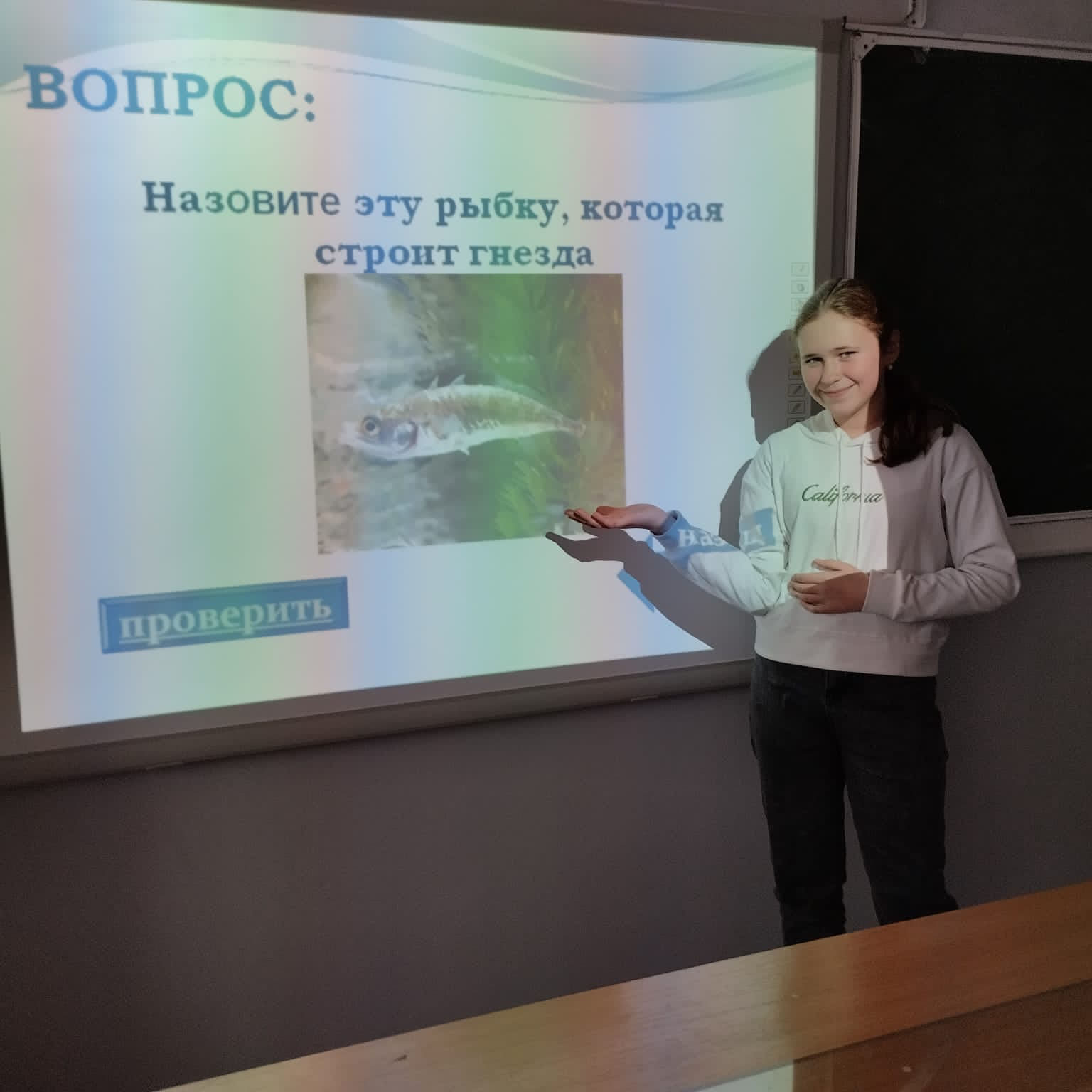 image-03-02-23-12-14.png