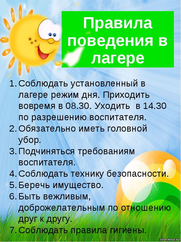 pravila.jpg