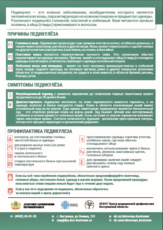 педикулез.jpg