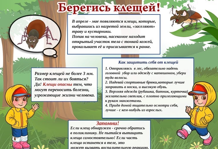 Клещи.jpg
