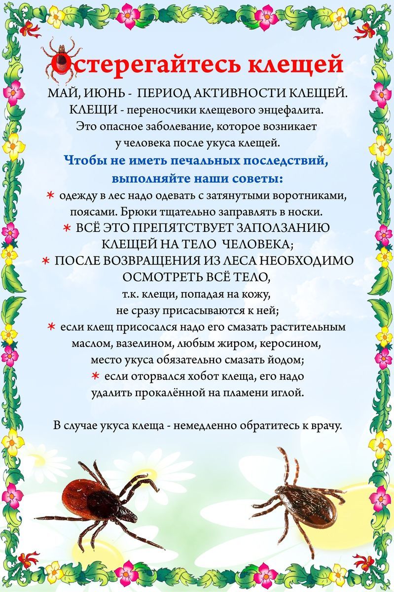 24891_kleshchey.jpg
