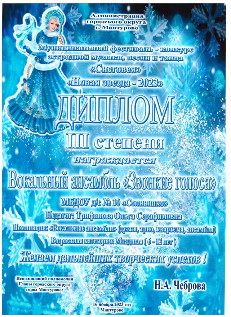 Снеговея 3 место.jpeg
