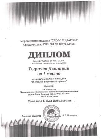 Тыричев Д в стране дорожных знаков.jpeg