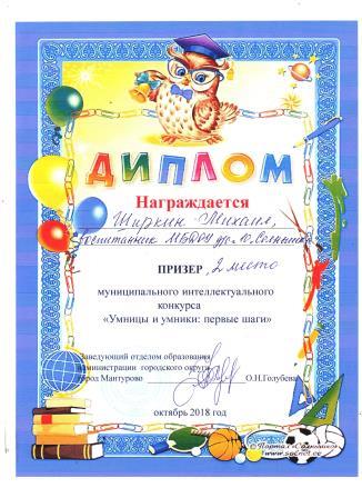 Умники и умницы 2 место Ширкин Миша.jpeg