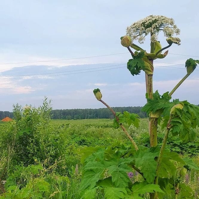 изображение_2022-07-21_191456725.png