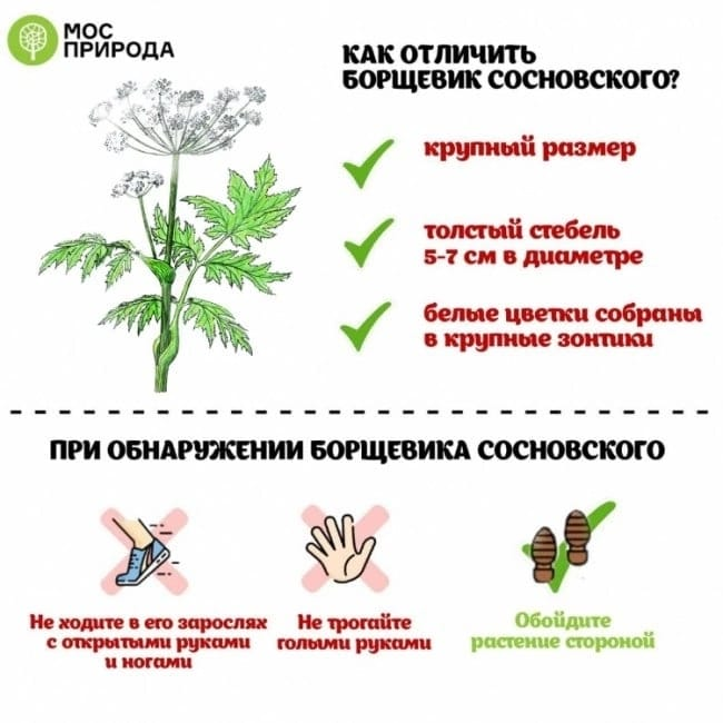 изображение_2022-07-21_191602171.png