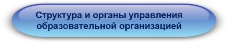 Структура 23.jpg