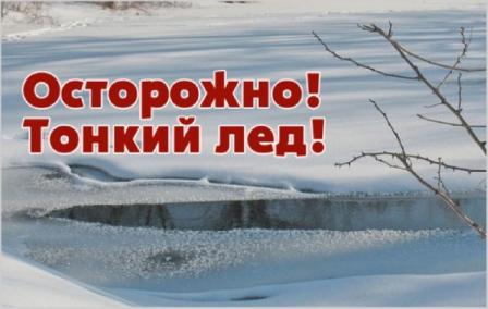 image_4384.jpg