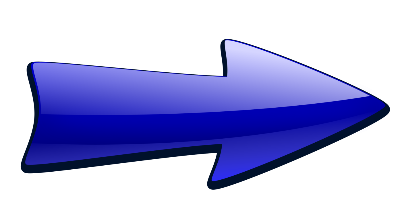 ЧЕКИ.png