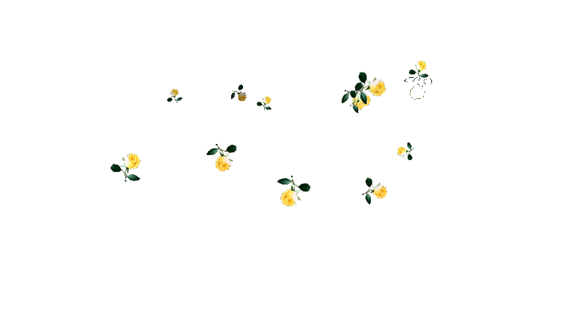3.gif