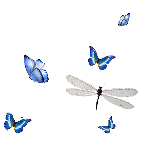 6e65b58c4161be8b39ed45673a1b.gif