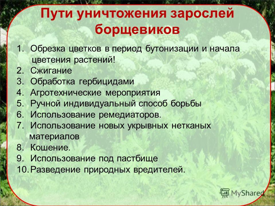 b695f6b2620e4ba88a55672fe1a19bd8.jpg