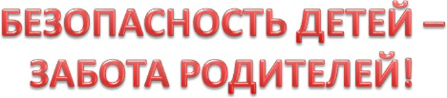 718d66e5-bbbc-478b-badc-24d737d24af9.jpg