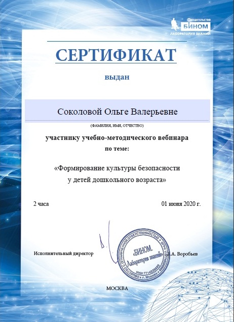 Сертификат  Формирование культуры безорасности дошкольников.jpg