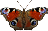 3cd326ba757c80a8c475cb0b7317c7ba.gif