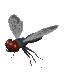 Mosquitos-73885.gif