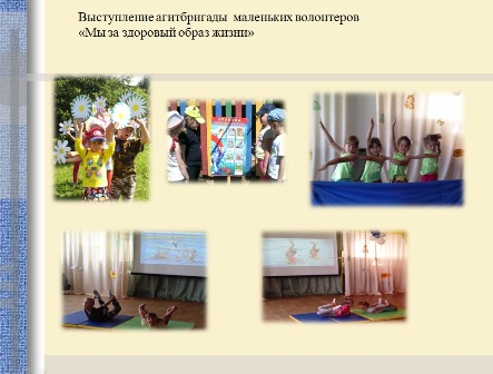 5 ромашки.jpg