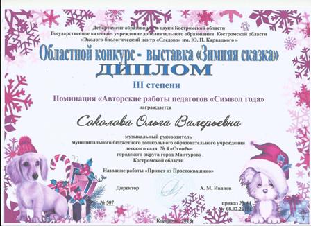 Соколова О.В..jpg