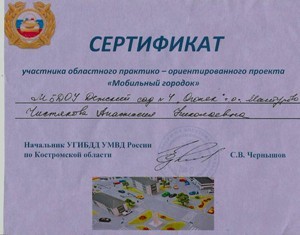 сертификат участника.jpg
